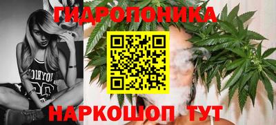 МДПВ Будённовск