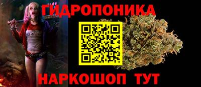 МДПВ Будённовск