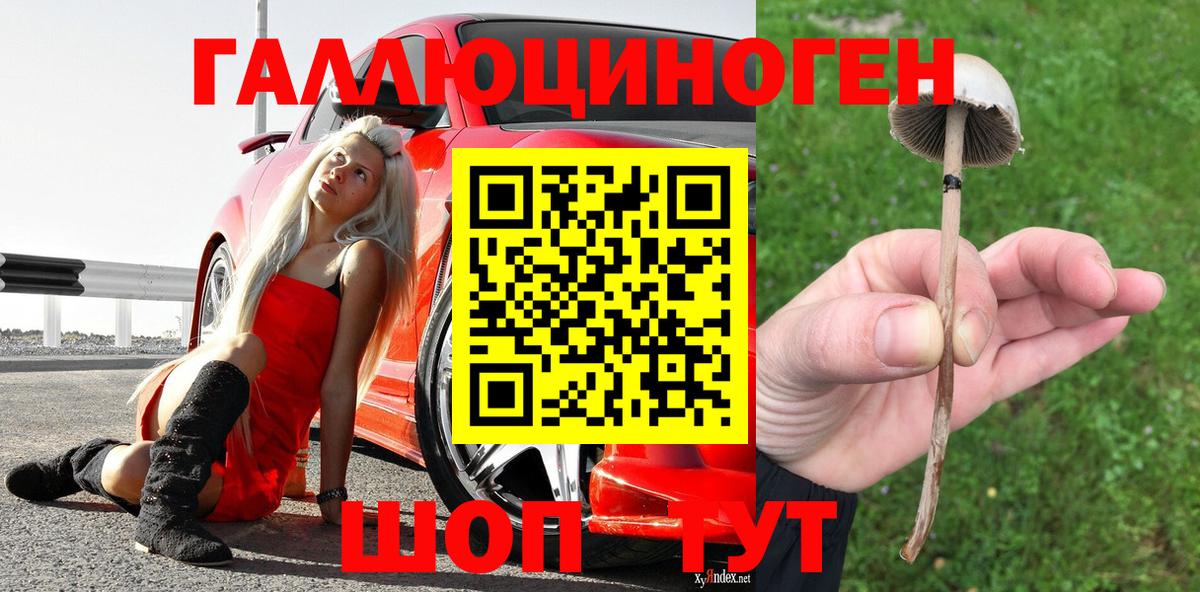 Псилоцибиновые грибы Magic Shrooms Стерлитамак
